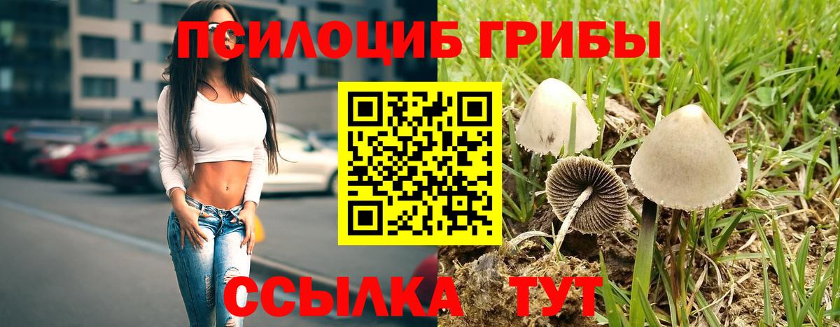 Псилоцибиновые грибы MAGIC MUSHROOMS  закладки  Вход с VPN  Губкинский  Галлюциногенные грибы MAGIC MUSHROOMS 