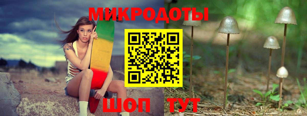 Псилоцибиновые грибы Cubensis Губкинский